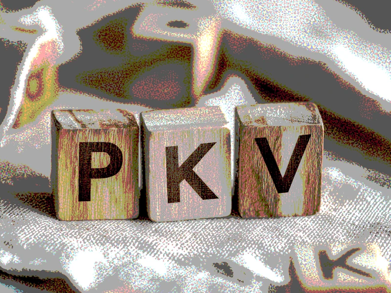 Holzw&uuml;rfel mit den Buchstaben PKV