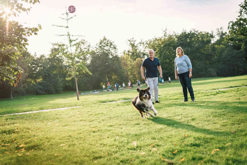 Zwei Personen gehen mit einem Hund &uuml;ber eine Wiese vor dem Klinikgeb&auml;ude