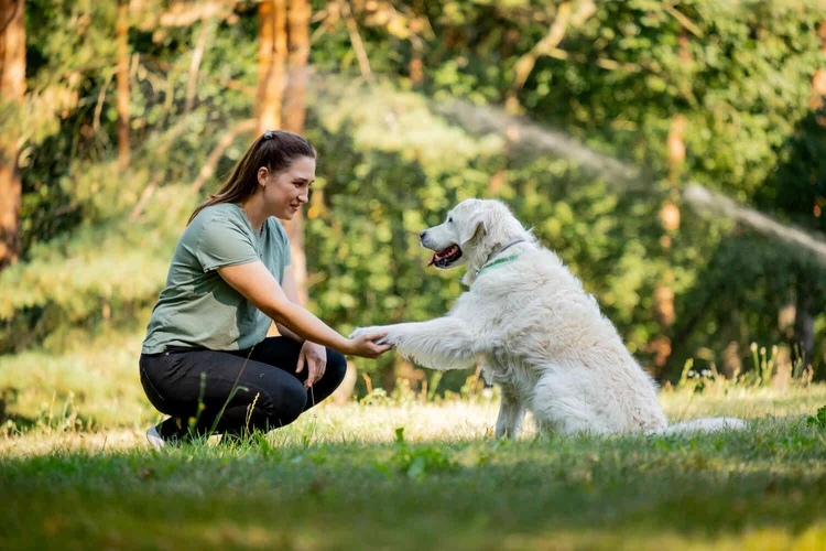 Frau sitzt im Gr&uuml;nen bei einem wei&szlig;en Hund