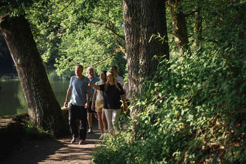 Mehrere Personen gehen auf einem Waldweg spazieren