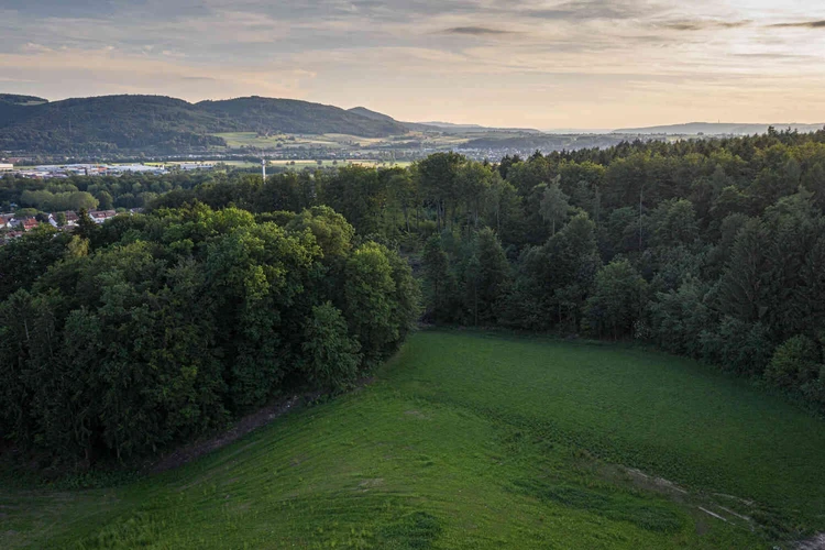 Luftaufnahme einer gr&uuml;nen Landschaft mit Waldrand