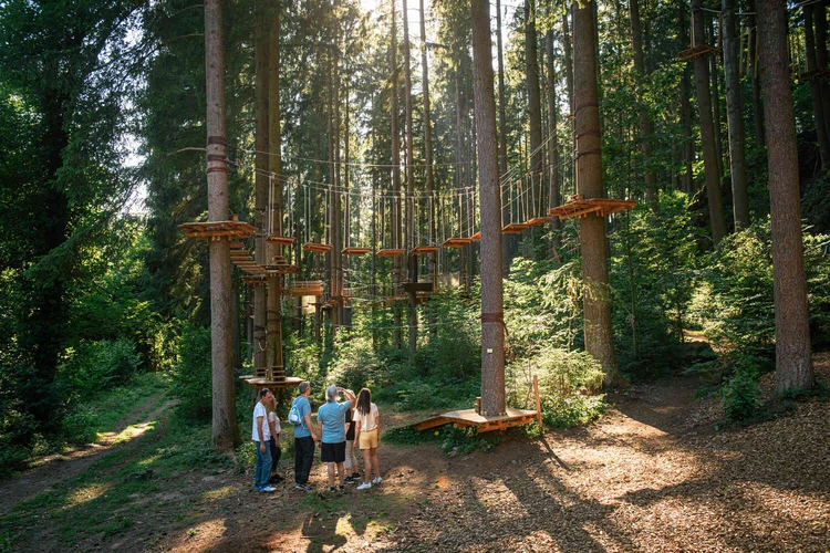 Personen stehen in einem Hochseilgarten im Wald