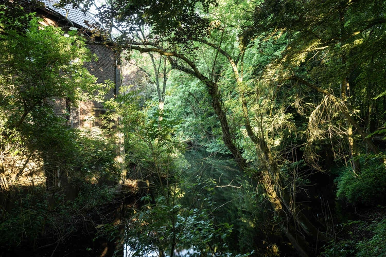 gr&uuml;ner Wassergraben um die Oberberg Fachklinik Wasserschl&ouml;sschen