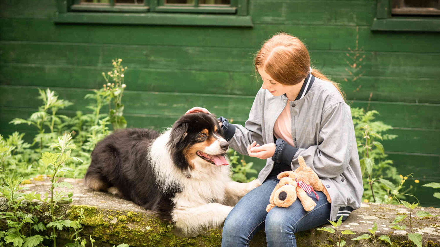 Junge Person sitzt mit einem Hund im Gr&uuml;nen