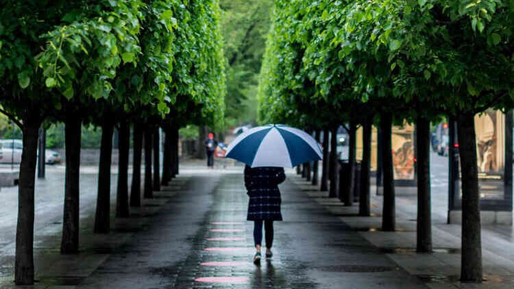 Person geht mit Regenschirm &uuml;ber einen nassen Gehweg zwischen B&auml;umen