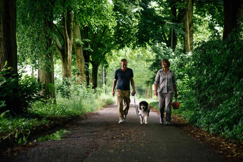 Zwei Personen spazieren im wald mit einem hund